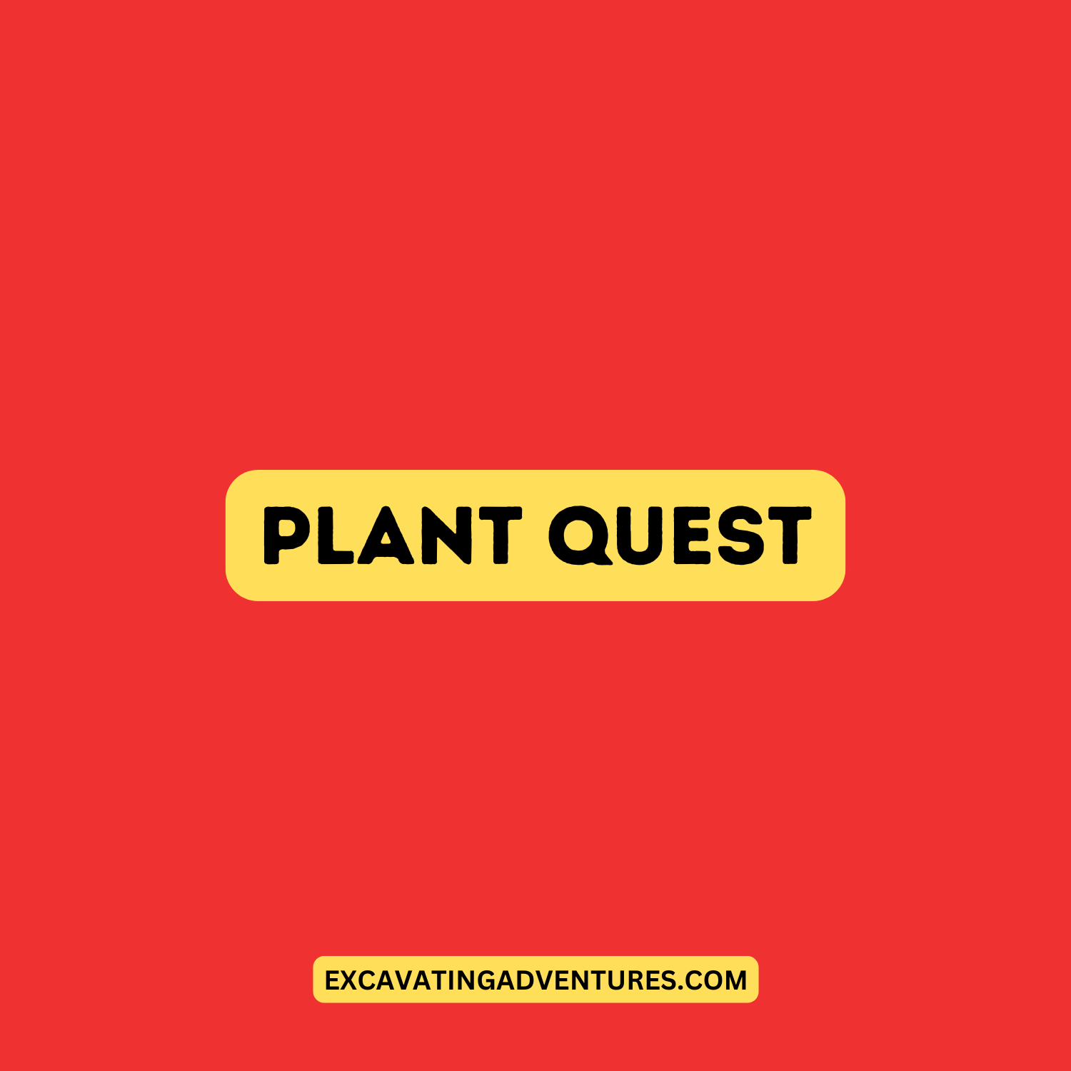 10 - Plant Quest