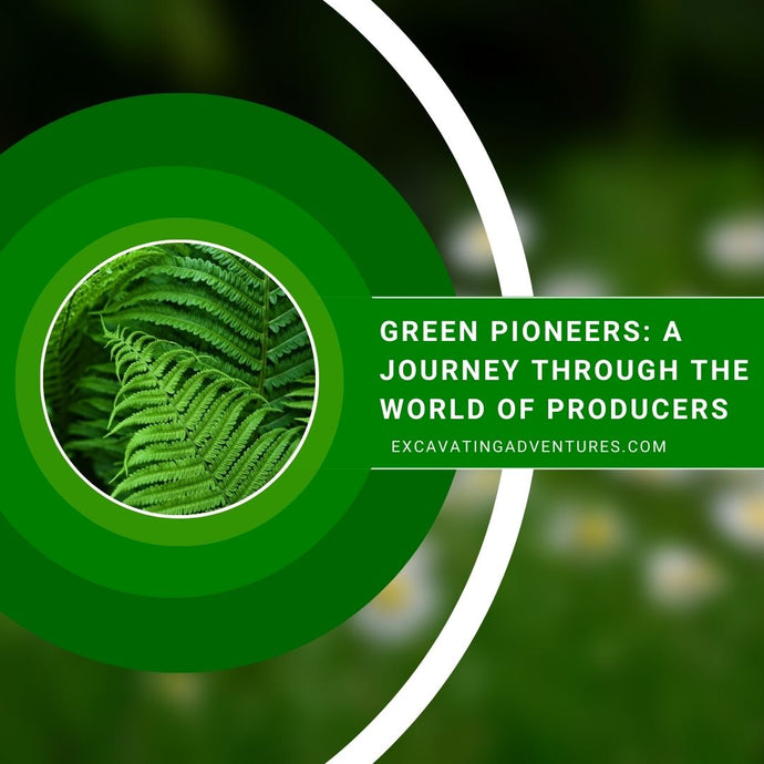 Green Pioneers: A Journey Through the World of Producers