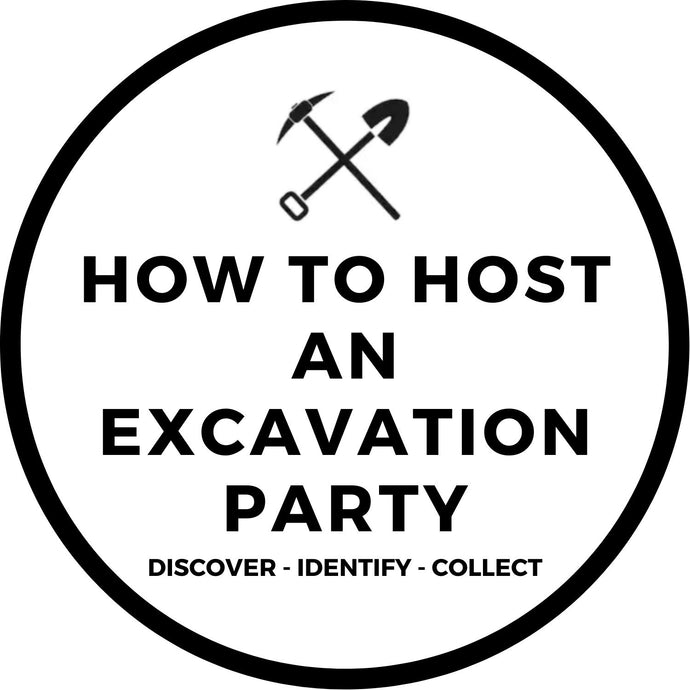 HOW TO HOST AN EXCAVATION PARTY