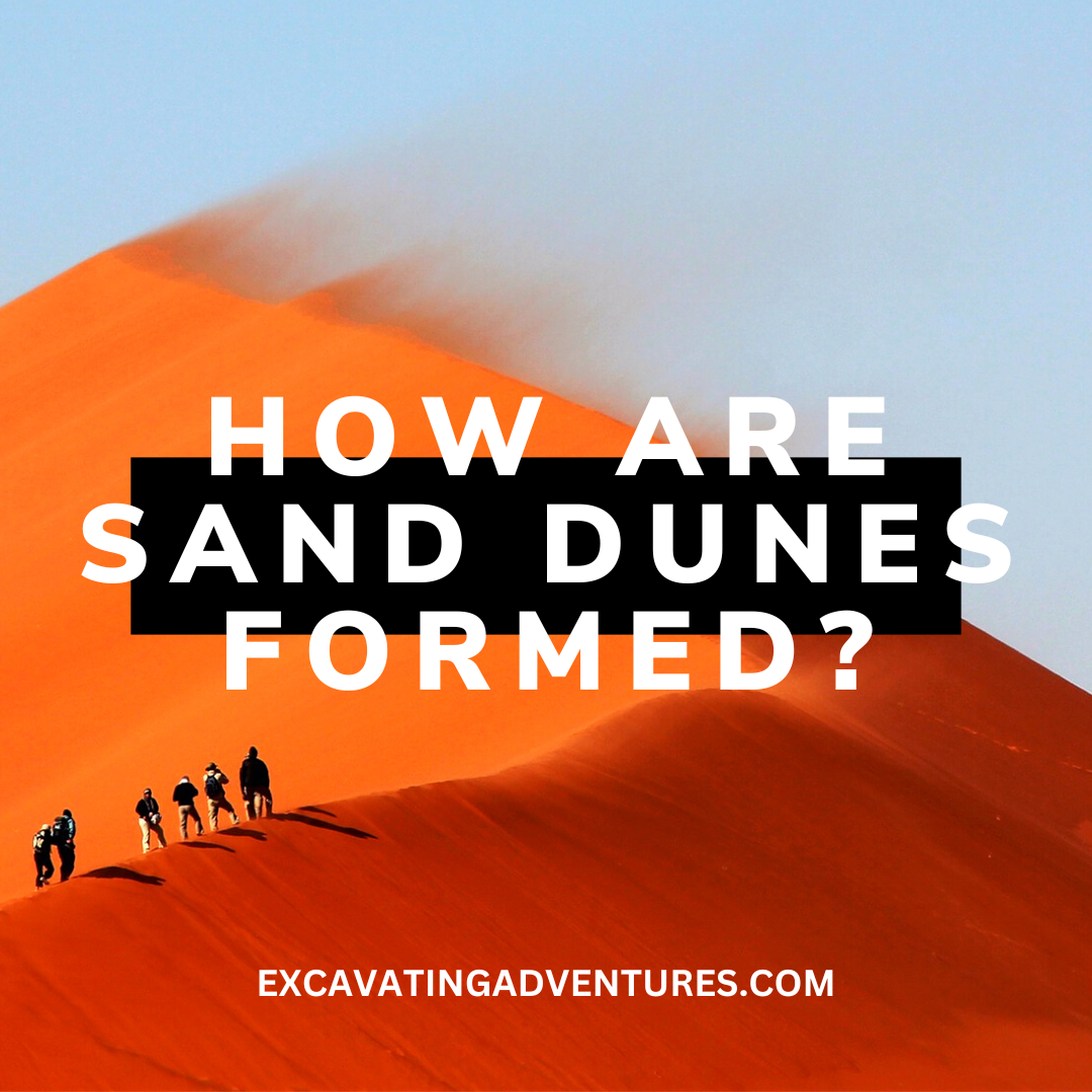 Discover the fascinating formation of sand dunes as wind sculpts and moves the grains of sand, creating unique landscapes teeming with life.