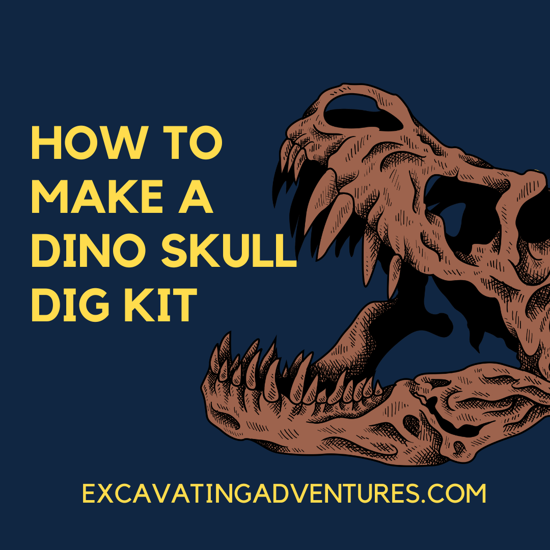 Guide for making a DIY Dino Skull Dig Kit as a fun and educational activity for children interested in paleontology and STEM. Includes facts about dinosaurs, fossils, and information about Excavating Adventures subscription box.