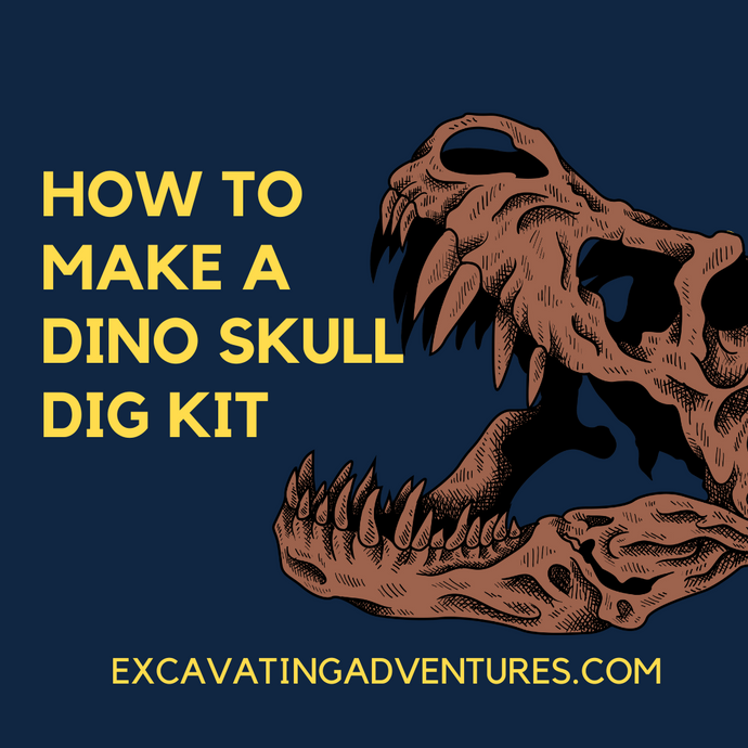 How to Make a Dino Skull Dig Kit