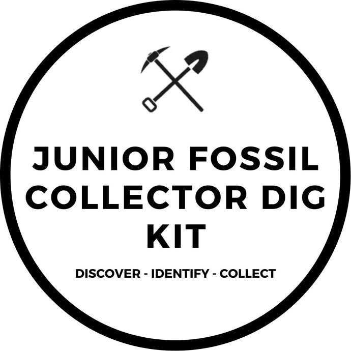 JUNIOR FOSSIL COLLECTOR DIG KIT