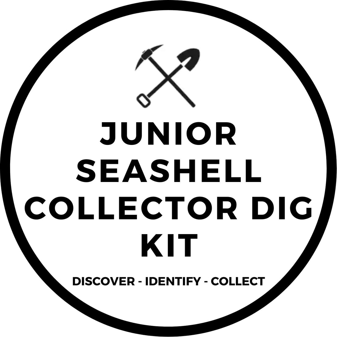 JUNIOR SEASHELL COLLECTOR DIG KIT