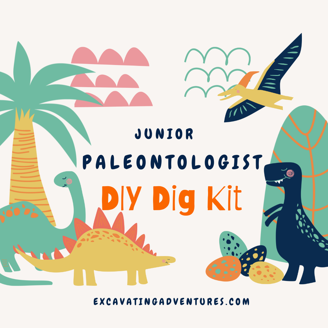 Junior Paleontologist DIY Dig Kit: Unleash your inner explorer and embark on an extraordinary journey of discovery as you craft your own excavation kit, uncovering captivating fossils and igniting a lifelong passion for the wonders of paleontology.