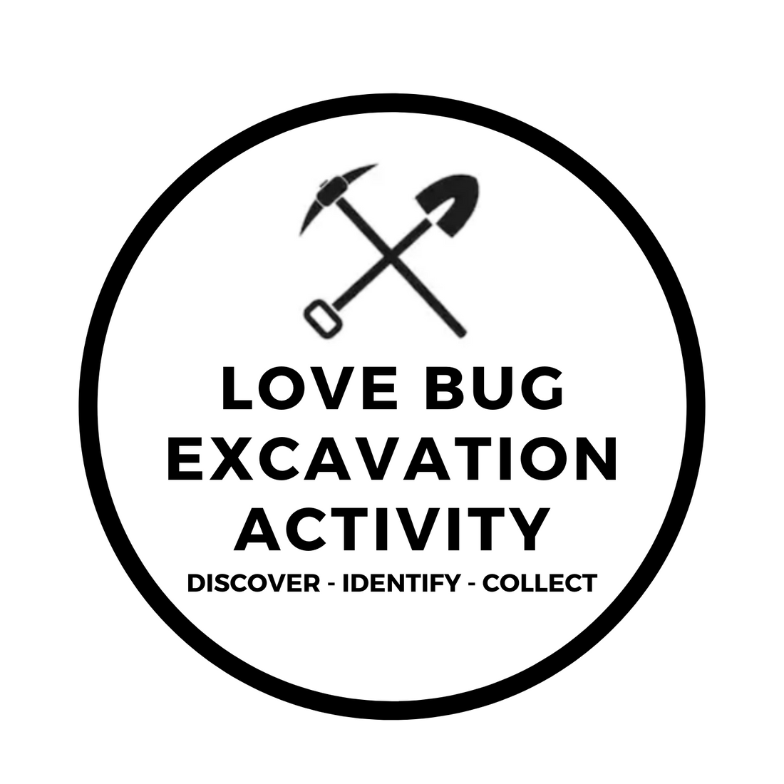 LOVE BUG EXCAVATION ACTIVITY