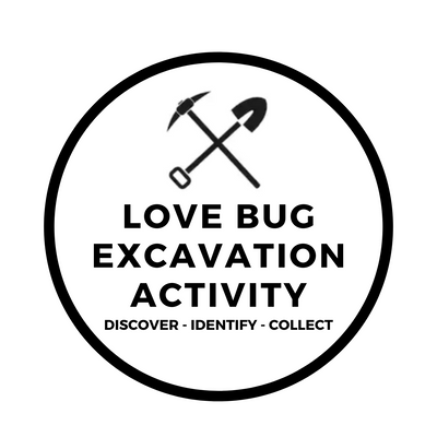 LOVE BUG EXCAVATION ACTIVITY