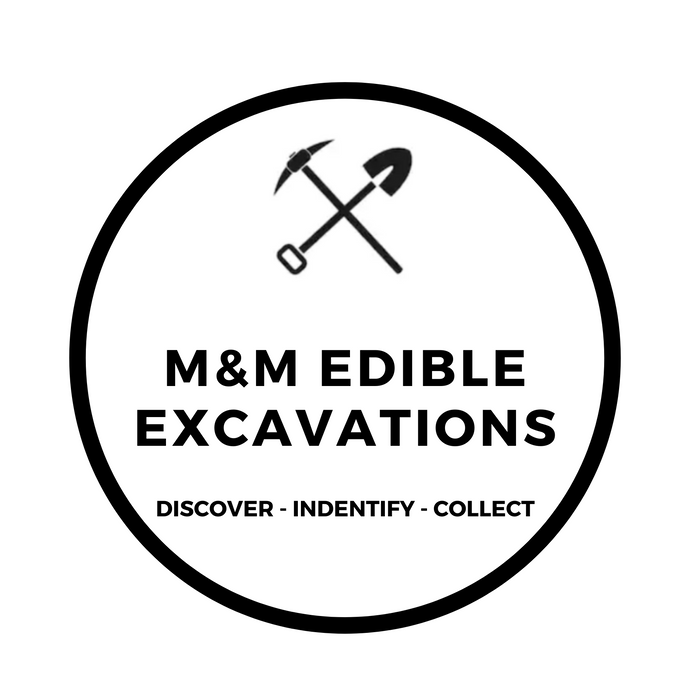 M&M EDIBLE EXCAVATIONS