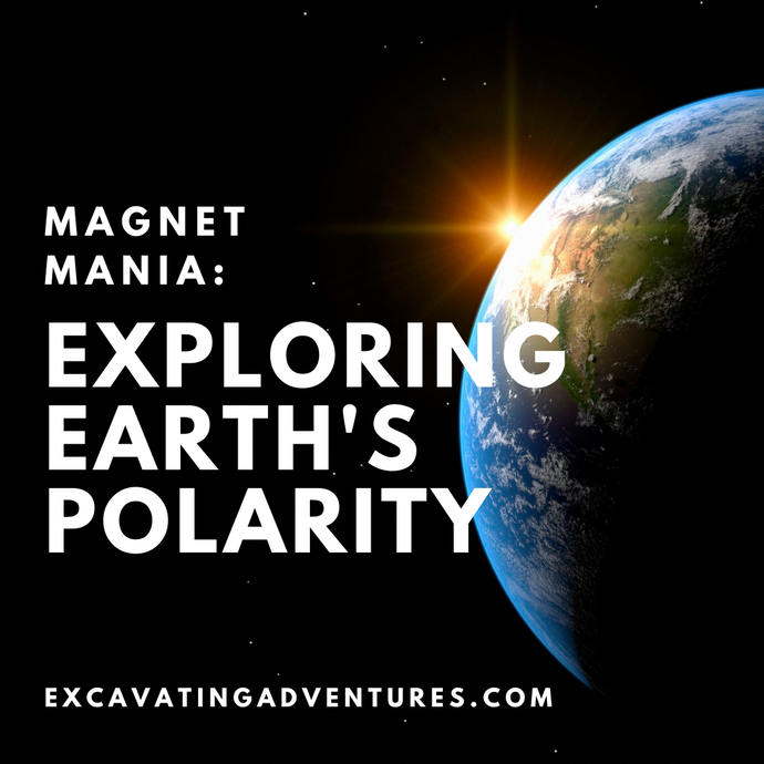 Magnet Mania: Exploring Earth's Polarity