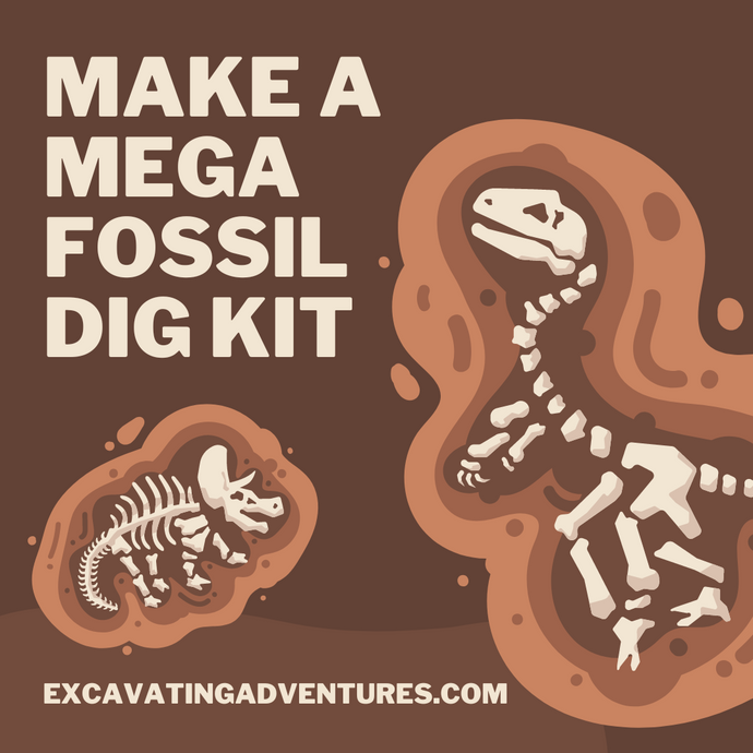 Make A Mega Fossil Dig Kit