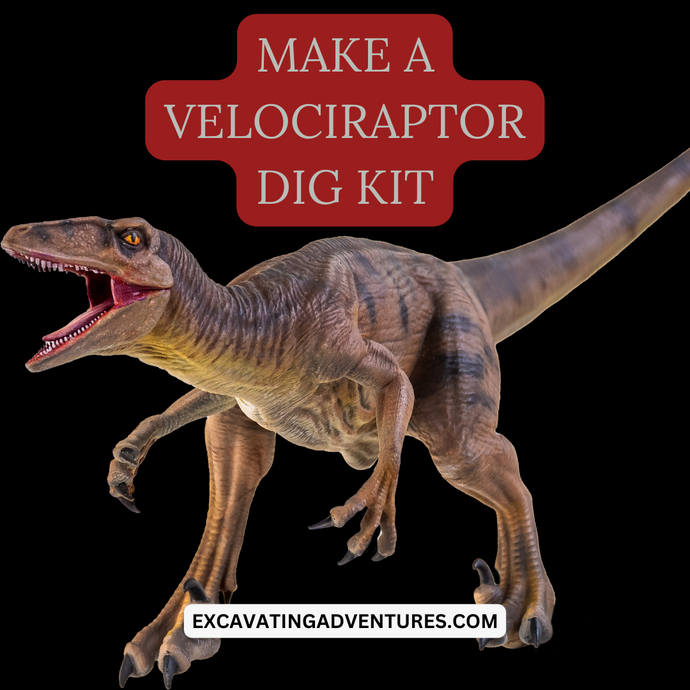 Make a Velociraptor Dig Kit
