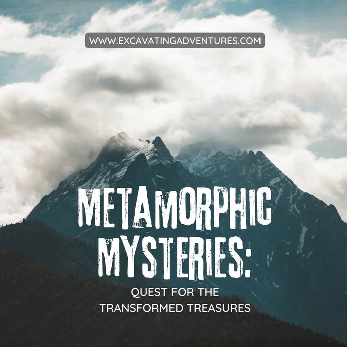 Metamorphic Mysteries: Quest for the Transformed Treasures