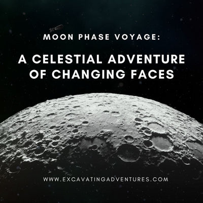 Moon Phase Voyage: A Celestial Adventure of Changing Faces