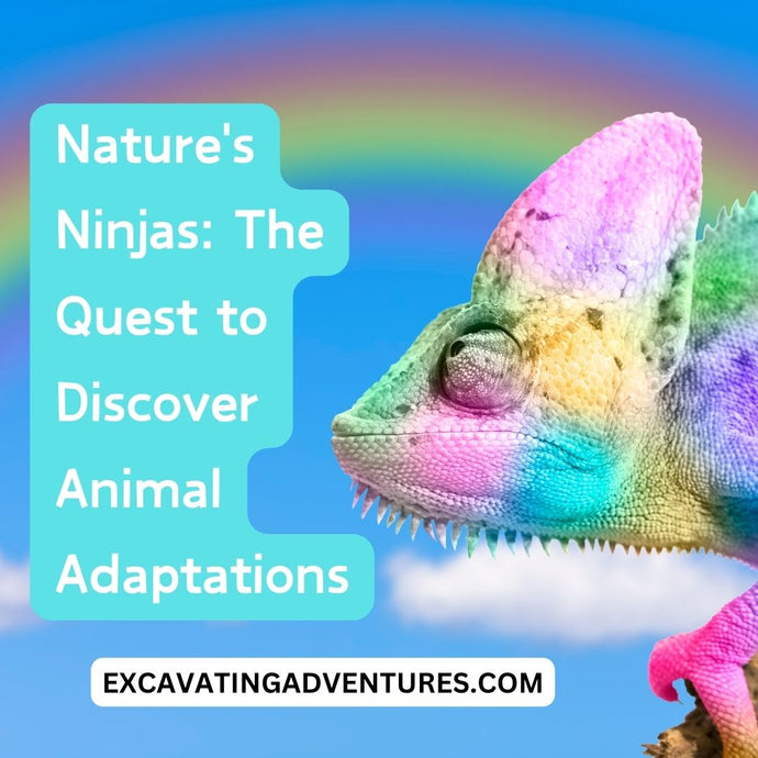 Nature's Ninjas: The Quest to Discover Animal Adaptations