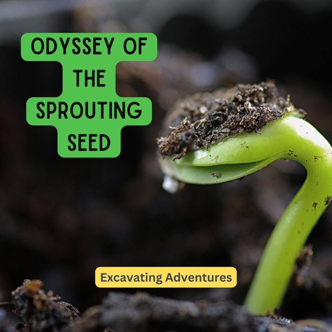 From tiny seeds to blooming flowers, plants embark on a magical journey of growth, pollination, and starting the cycle anew.