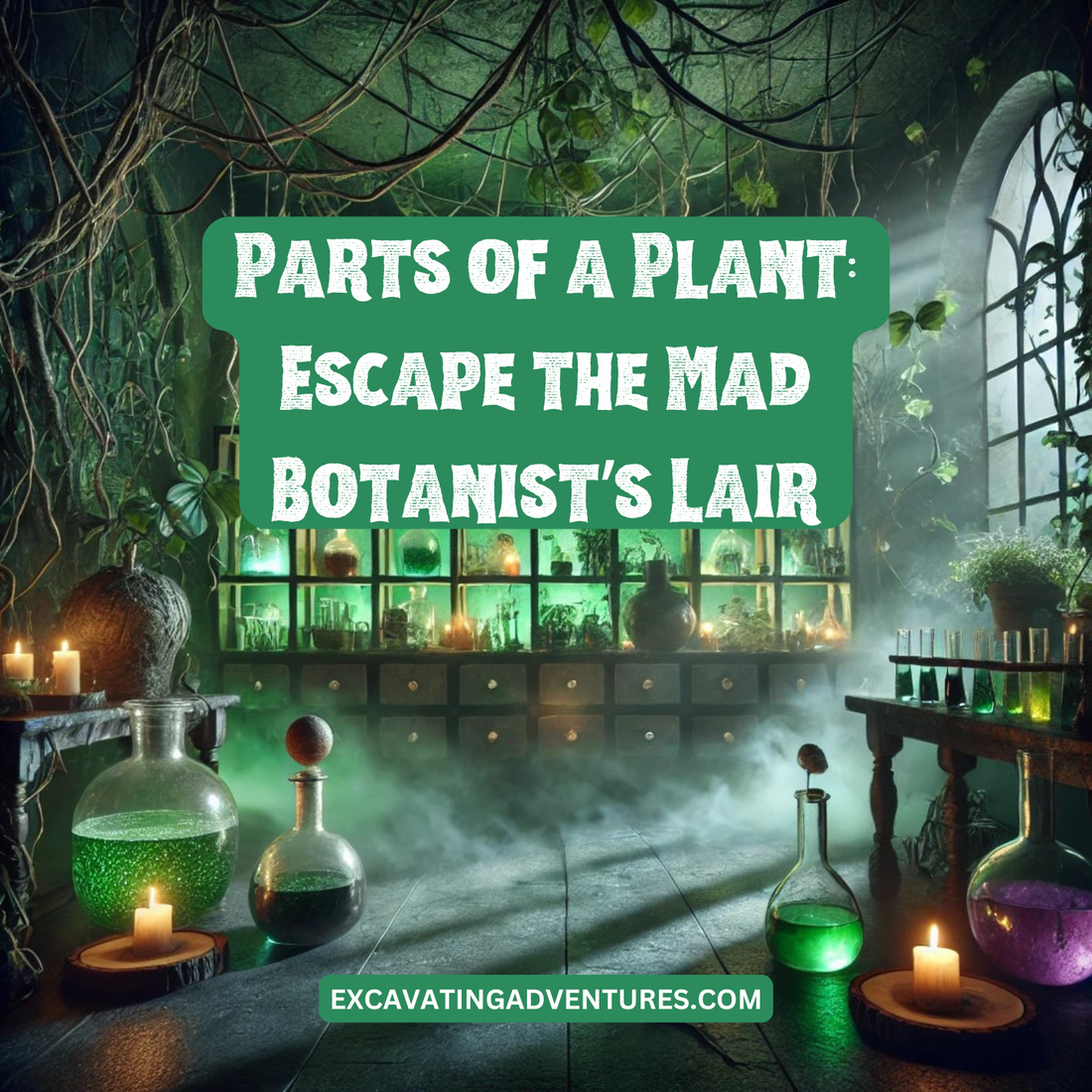 Parts of a Plant