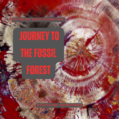 Petrified Wood Expedition: Journey to the Fossil Forest