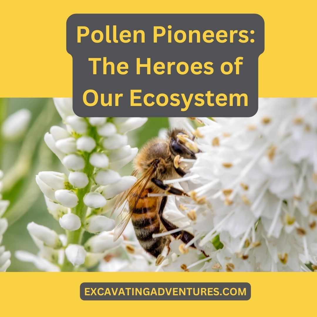 Pollination is nature's teamwork between flowers and pollinators like bees, crucial for seeds, fruits, and our ecosystem's health.