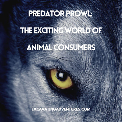 Predator Prowl: The Exciting World of Animal Consumers