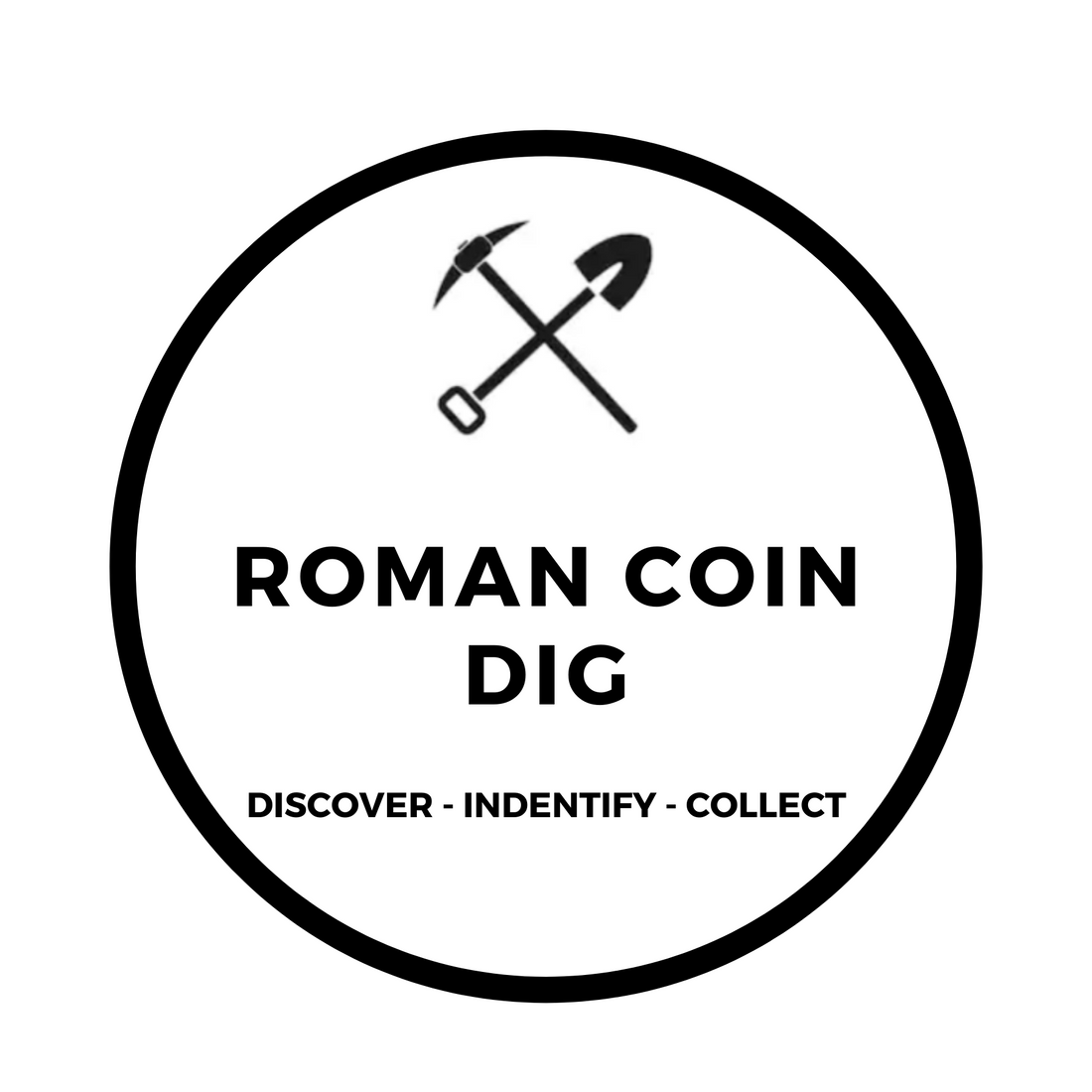 ROMAN COIN DIG