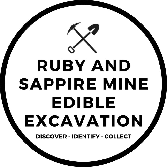 RUBY AND SAPPIRE MINE EDIBLE EXCAVATION
