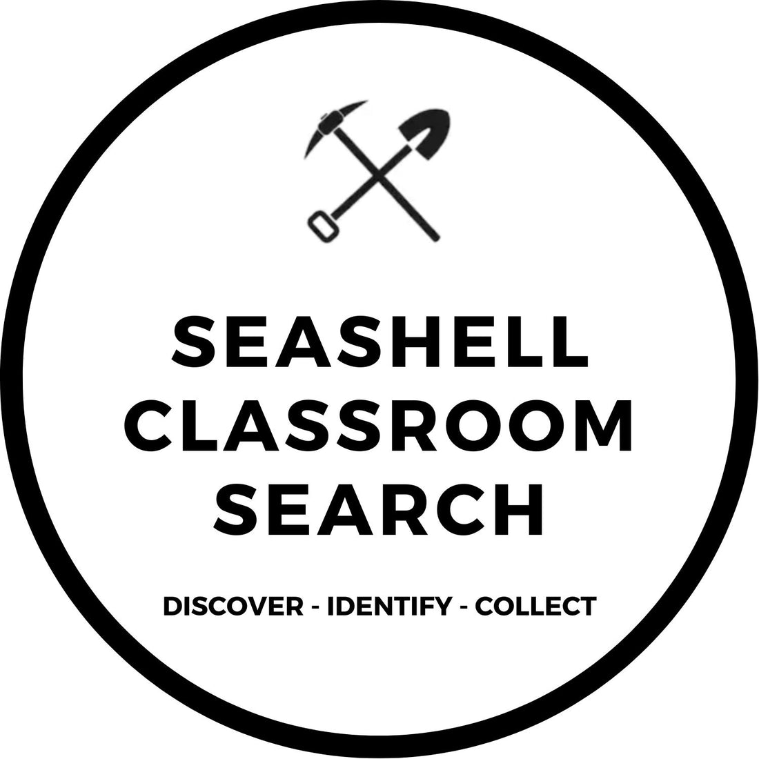 SEASHELL CLASSROOM SEARCH