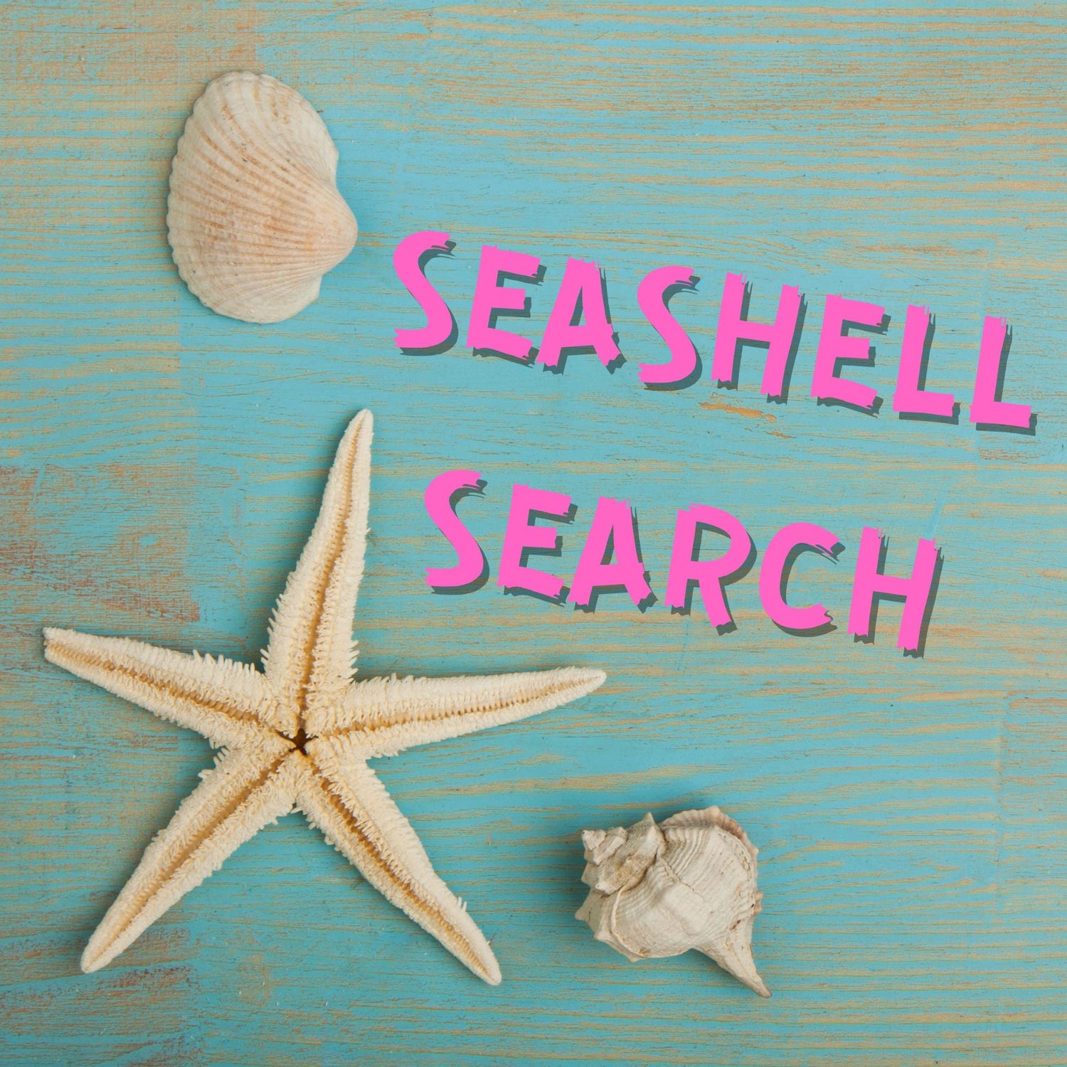 SEASHELL SEARCH INSTRUCTIONS