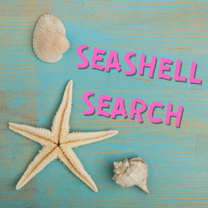 SEASHELL SEARCH INSTRUCTIONS