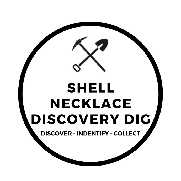 SHELL NECKLACE DISCOVERY DIG
