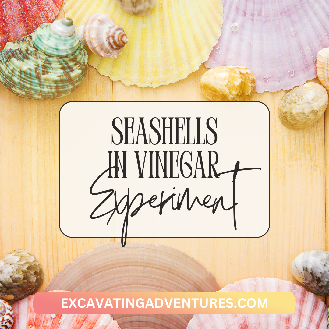 Unveil the fascinating process of seashell erosion with the 'Seashells in Vinegar' experiment, as we explore the transformative power of vinegar on seashells and delve into the captivating scientific principles behind it.