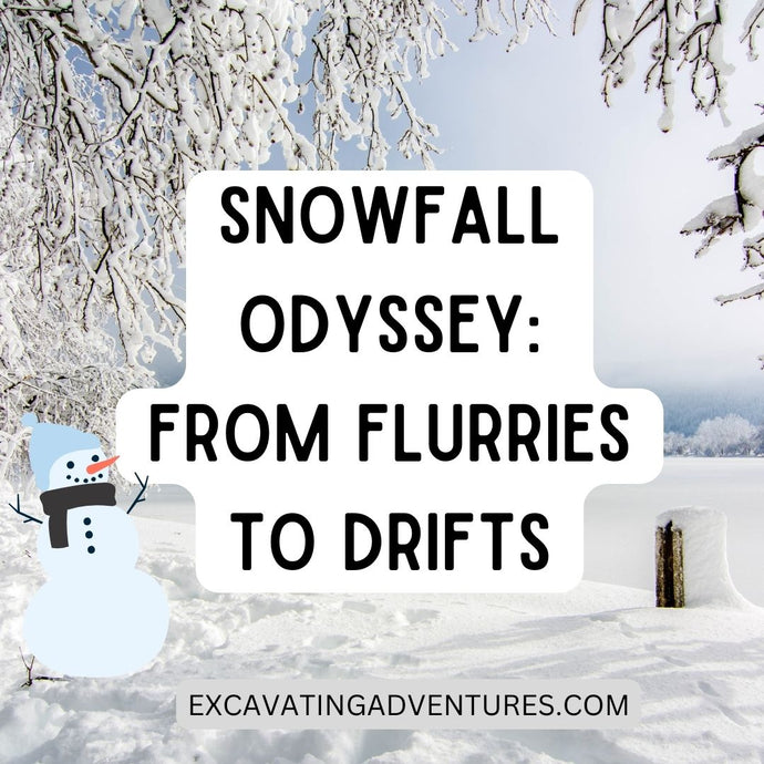 Snowfall Odyssey: From Flurries to Drifts