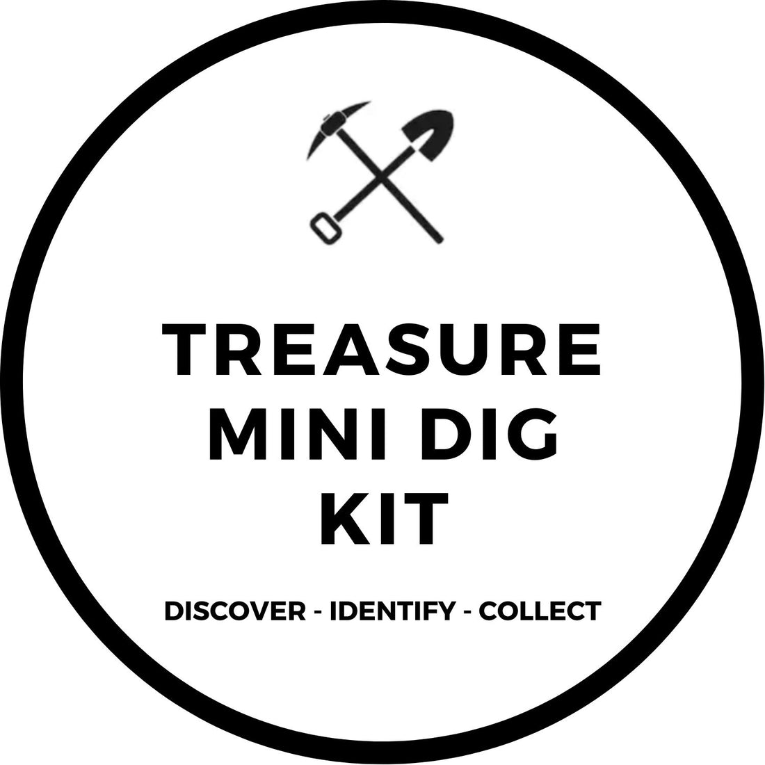 TREASURE MINI DIG KIT