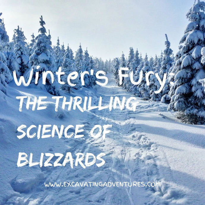 Winter's Fury: The Thrilling Science of Blizzards