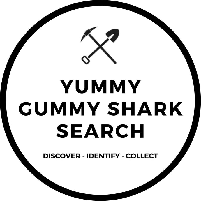 YUMMY GUMMY SHARK SEARCH