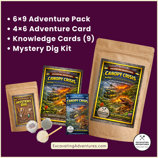 Canopy Crisis – Rootlings: Plants & Photosynthesis Adventure