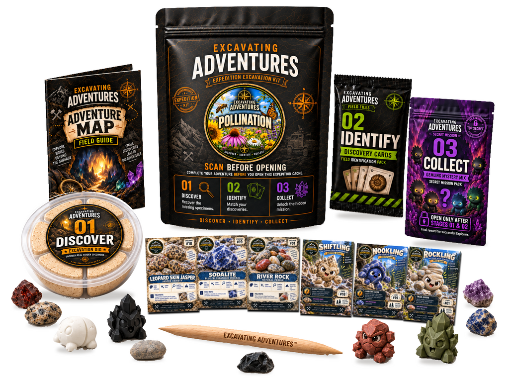 Pollination Excavation Adventure Kit on a white background, showing the labeled pouch, dig container, map, cards and dig stick.