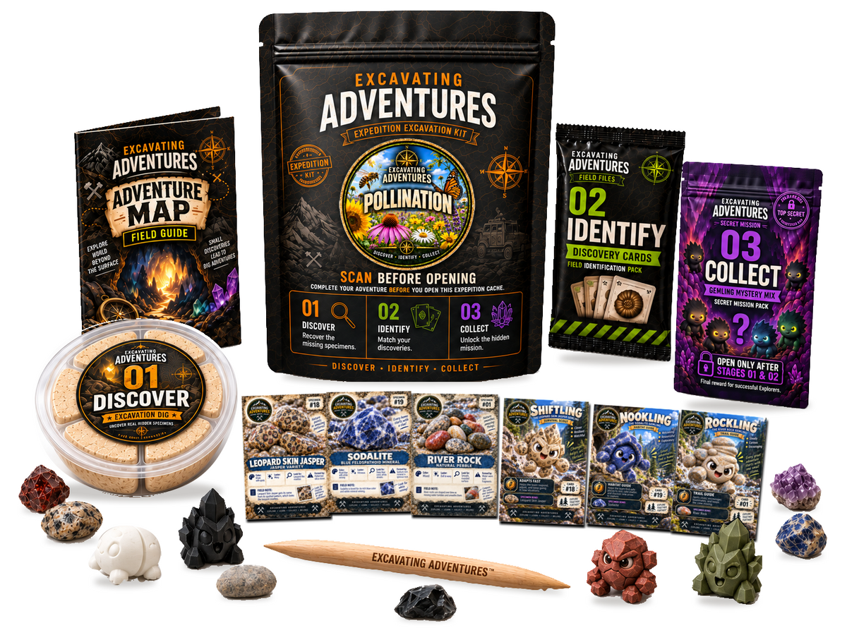 Pollination Excavation Adventure Kit on a white background, showing the labeled pouch, dig container, map, cards and dig stick.