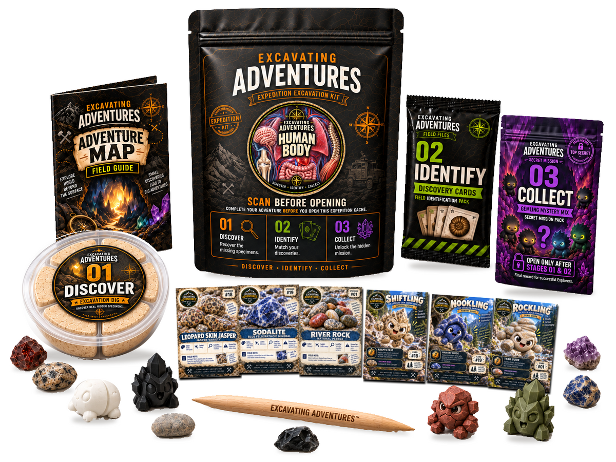 Human Body Excavation Adventure Kit on a white background, showing the labeled pouch, dig container, map, cards and dig stick.