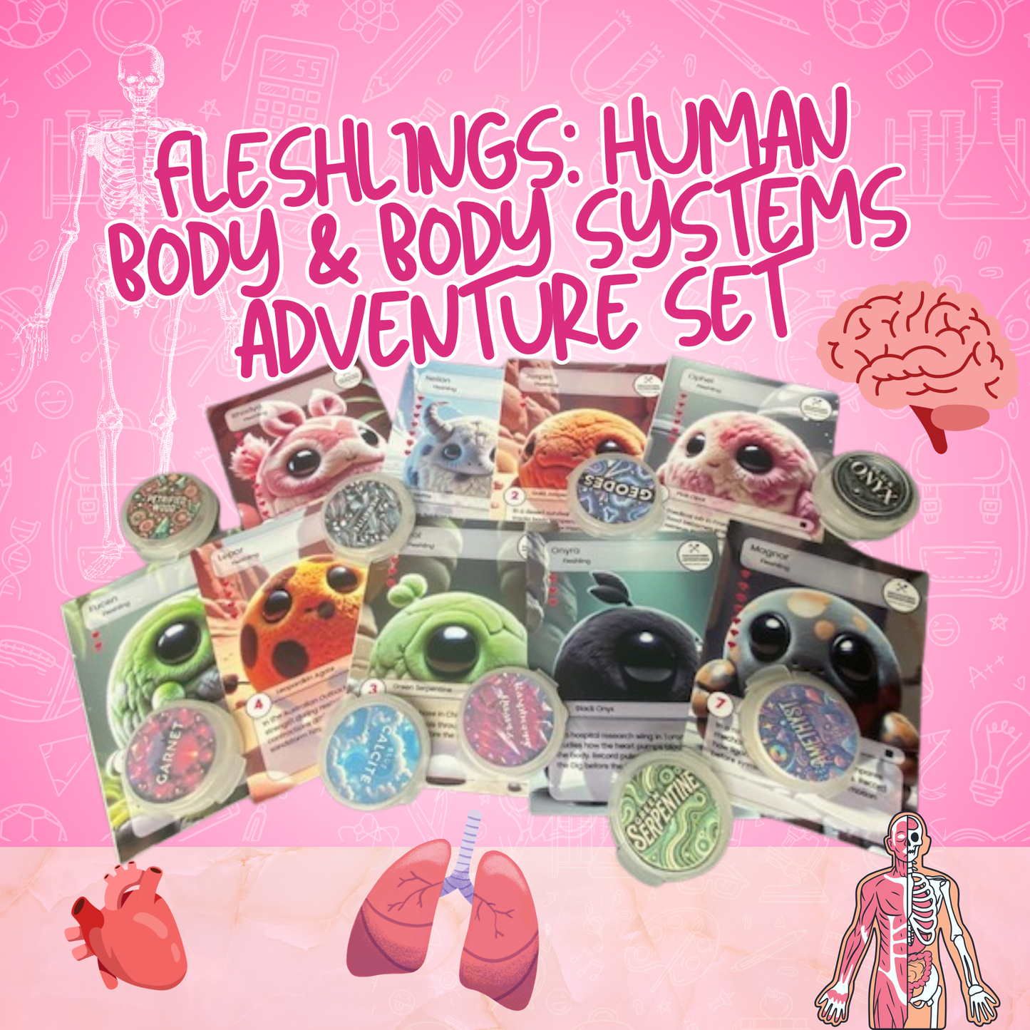 Fleshlings: Human Body & Body Systems Excavating Adventure