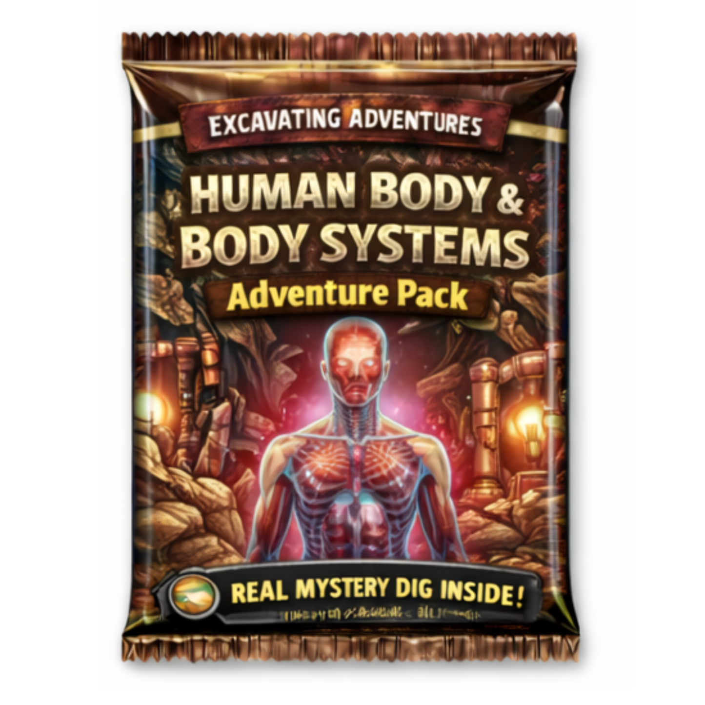 Human Body and Body Systems Adventure Pack
