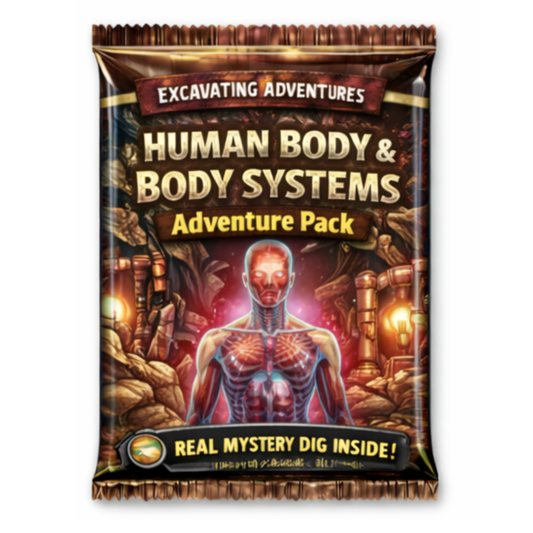 Human Body and Body Systems Adventure Pack