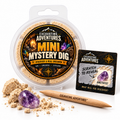 Concept illustration of one Mini Mystery Dig with scratch-off specimen identification. Specimen and packaging appearance vary; the display tool is not an included item.