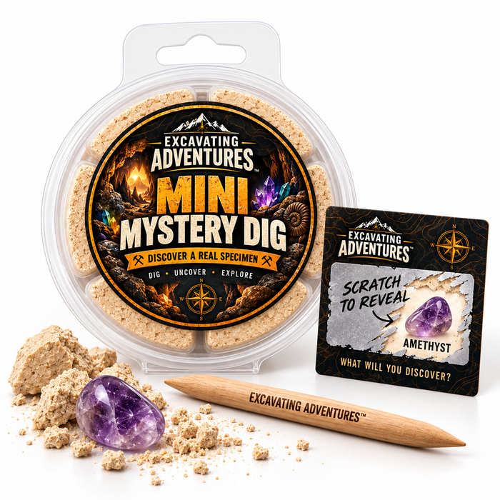 Concept illustration of one Mini Mystery Dig with scratch-off specimen identification. Specimen and packaging appearance vary; the display tool is not an included item.