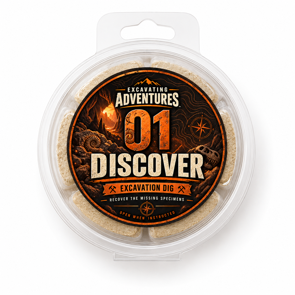 Six-spot Discover excavation included in this Character Adventure Kit. Specimen assortments vary.