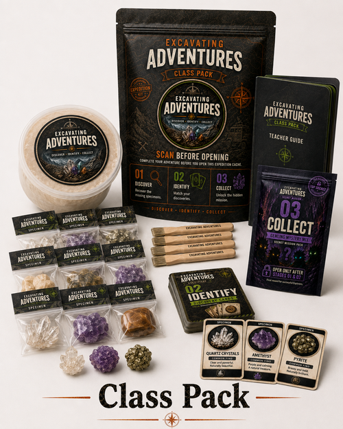 Excavating Adventures Class Pack box with teacher packet and student excavation kits