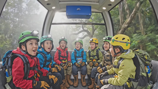 Canopy Crisis – Rootlings: Plants & Photosynthesis Adventure